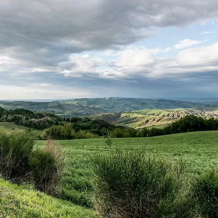 Il Pavone Errante