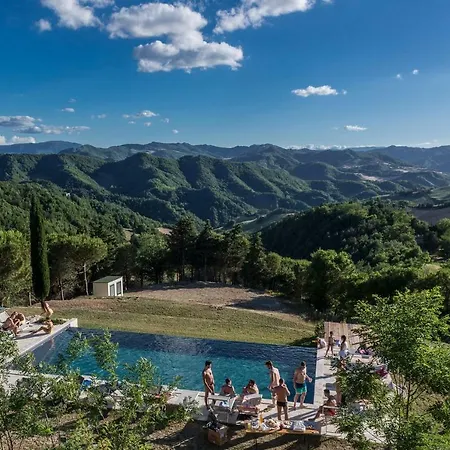 Il Pavone Errante Ciola